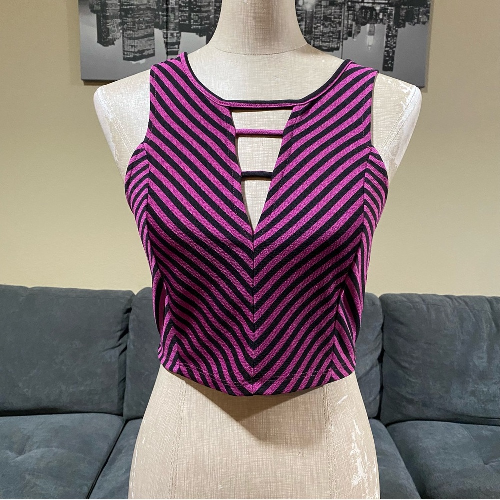 🏷️ 3 for $10 -  2B bebe Magenta Black Striped Crop Top